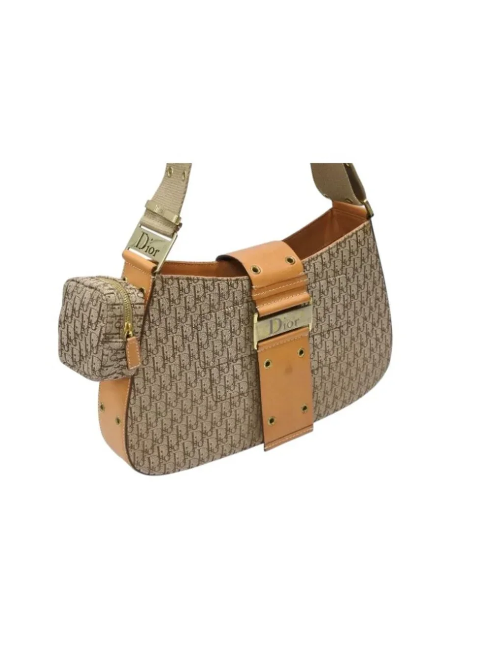 Dior Bag Street Chic Trotter Line Beige Brown Gold